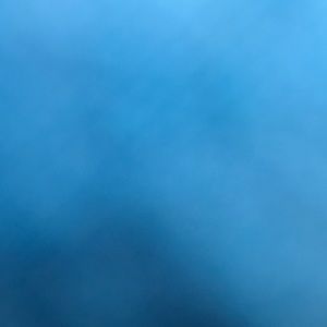 Meet your Posher, Nadda